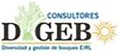 logo-consultores
